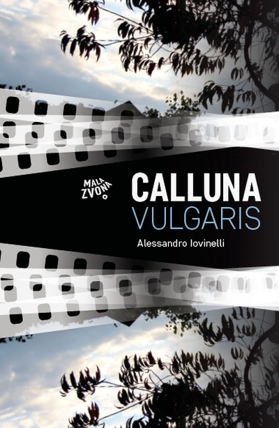 Calluna vulgaris Alessandro Iovinelli Mala zvona